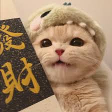 Ảnh đại diện người dùng Mỹ Linh